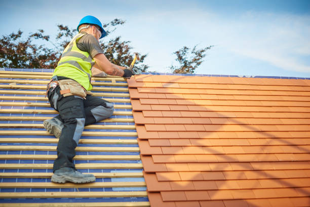 Best Roof Insulation Installation  in Tracy City, TN