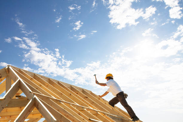 Best Roof Moss and Algae Removal  in Tracy City, TN